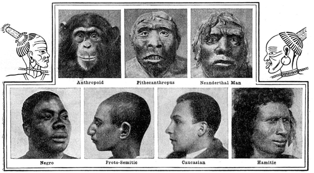 Naturens evolutionære designs i næser, 1922 af Unbekannt