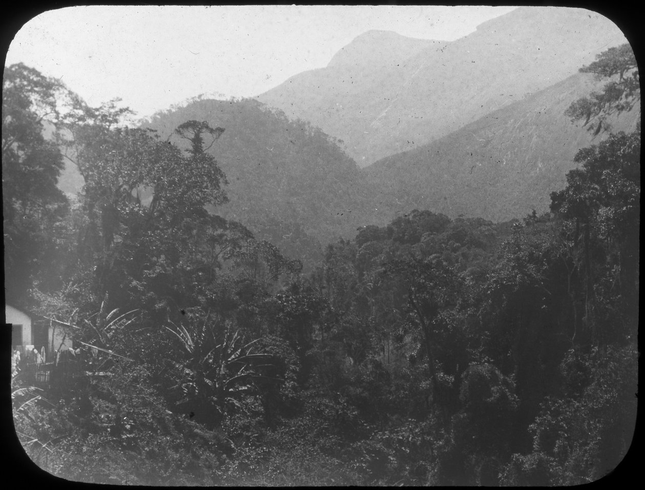 Nær Petrópolis, Rio de Janeiro, Brasilien, slutningen af det 19. eller begyndelsen af det 20. århundrede af Unbekannt
