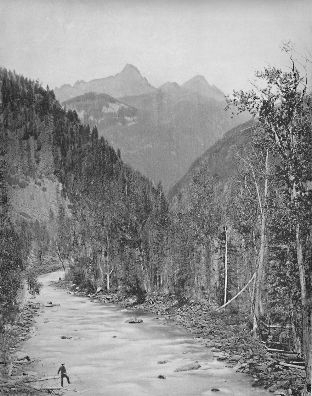 Needle Mountains, Canyon i Rio de las Animas, c1897. af Unbekannt
