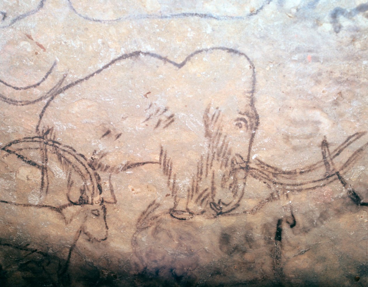 Neolitisk hulemaleri af mammut og stenbukke af Unbekannt