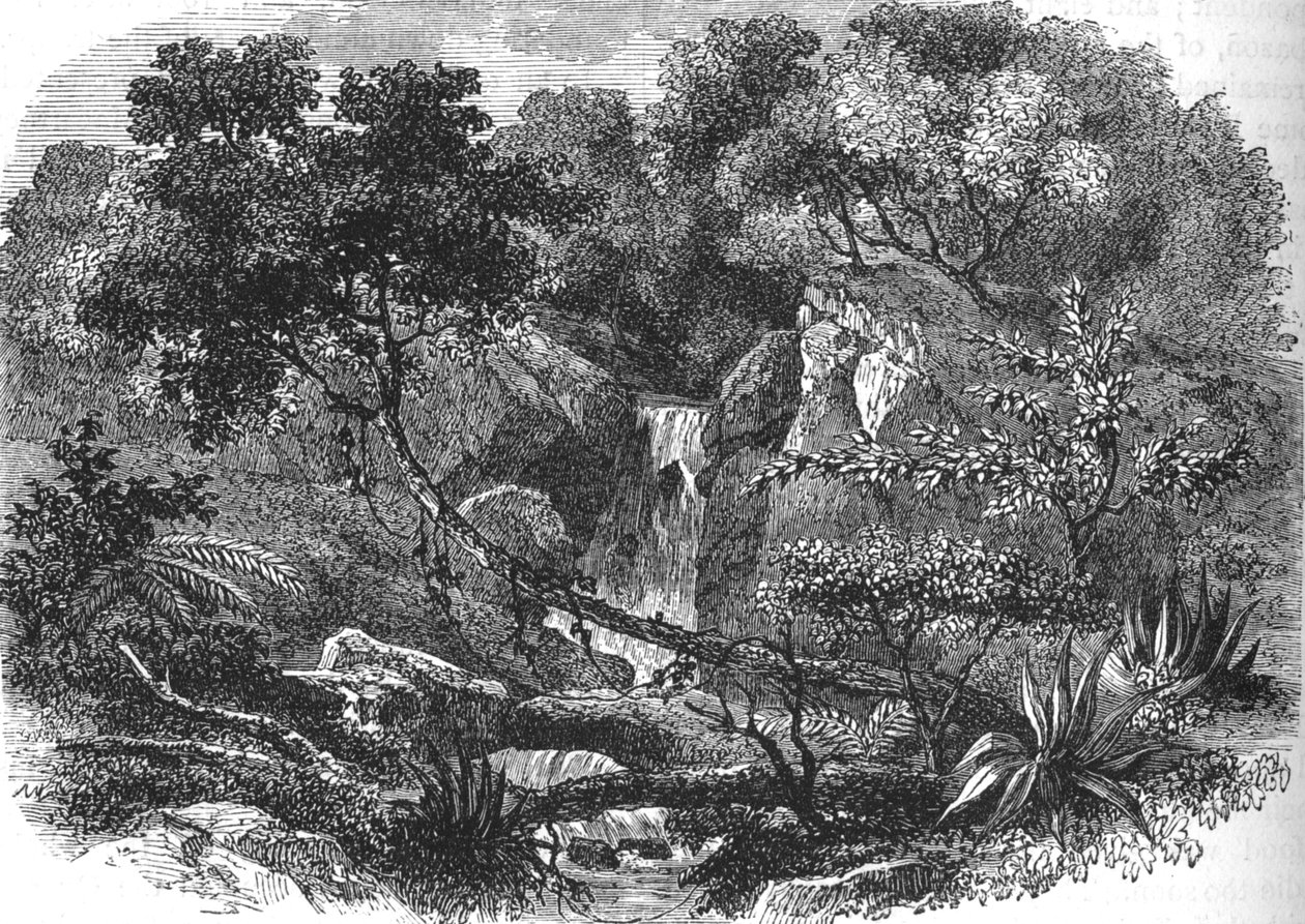 New Zealand Landskab, c1880 af Unbekannt