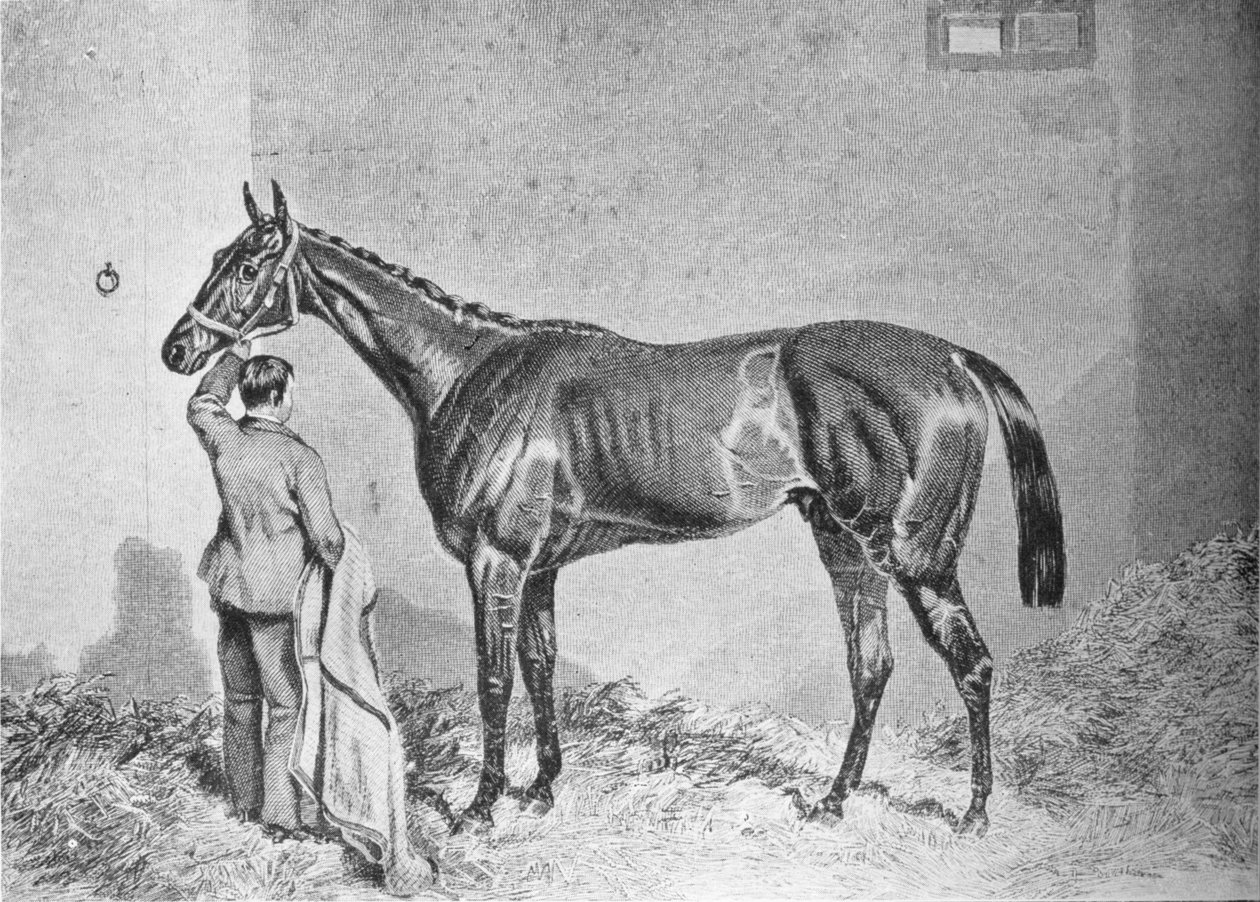 Newminster, 1848-1868, 1911 af Unbekannt