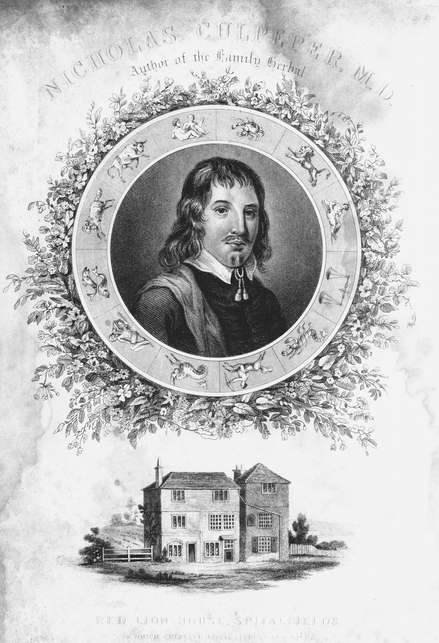 Nicholas Culpepper, c1650 1800-tallet af Unbekannt