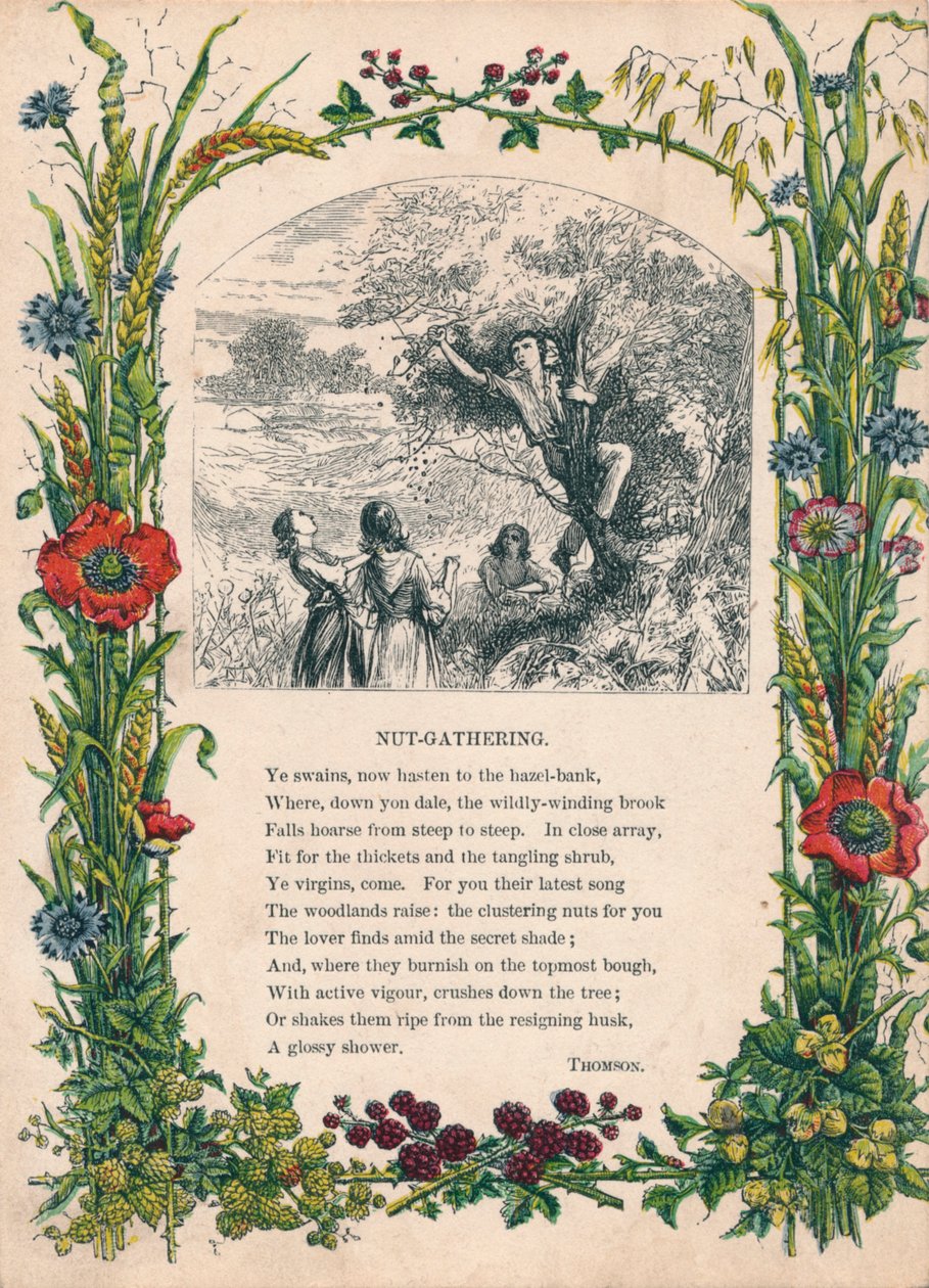 Nut-Gathering, af Thomson, c1900 af Unbekannt