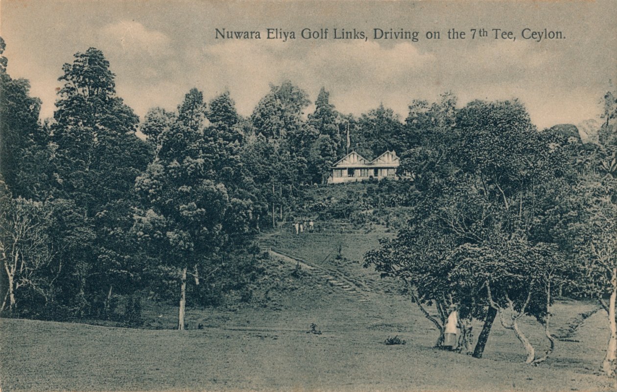 Nuwara Eliya Golf Links, Kørsel på 7. tee, Ceylon, c1900 af Unbekannt