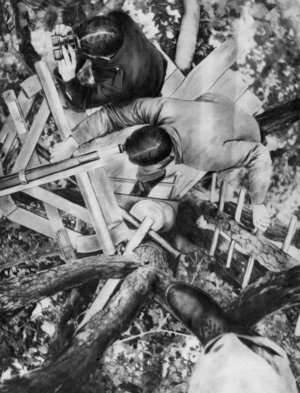 Observationspost i et træ, Woevre, Frankrig, Første Verdenskrig, c1914 af Unbekannt