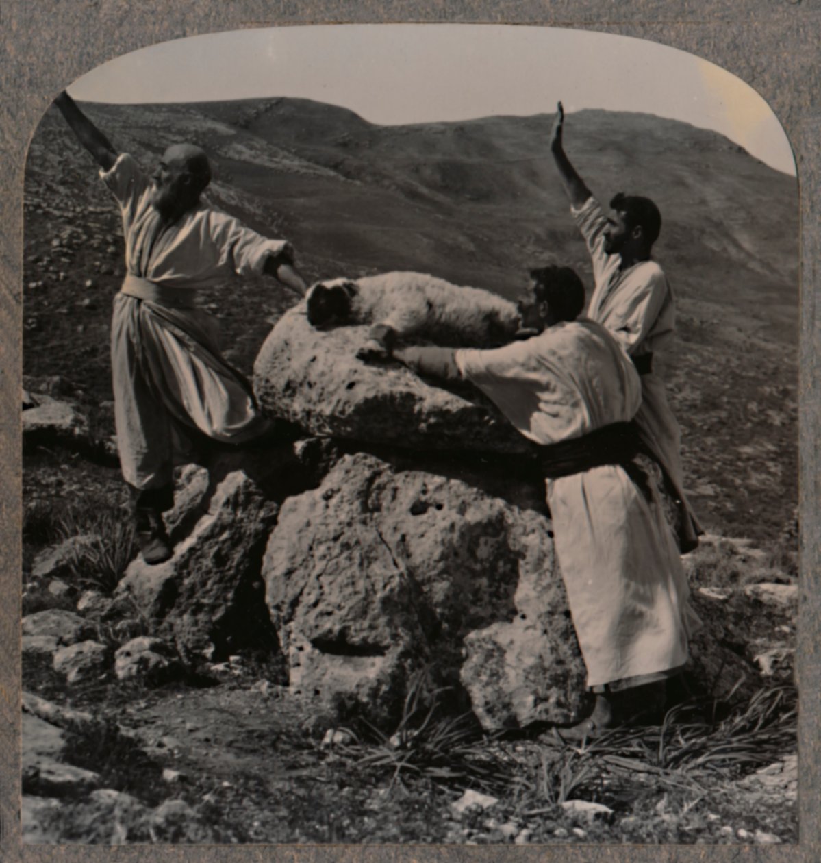 Ofring af lam på alteret, Moreh, ca. 1900 af Unbekannt