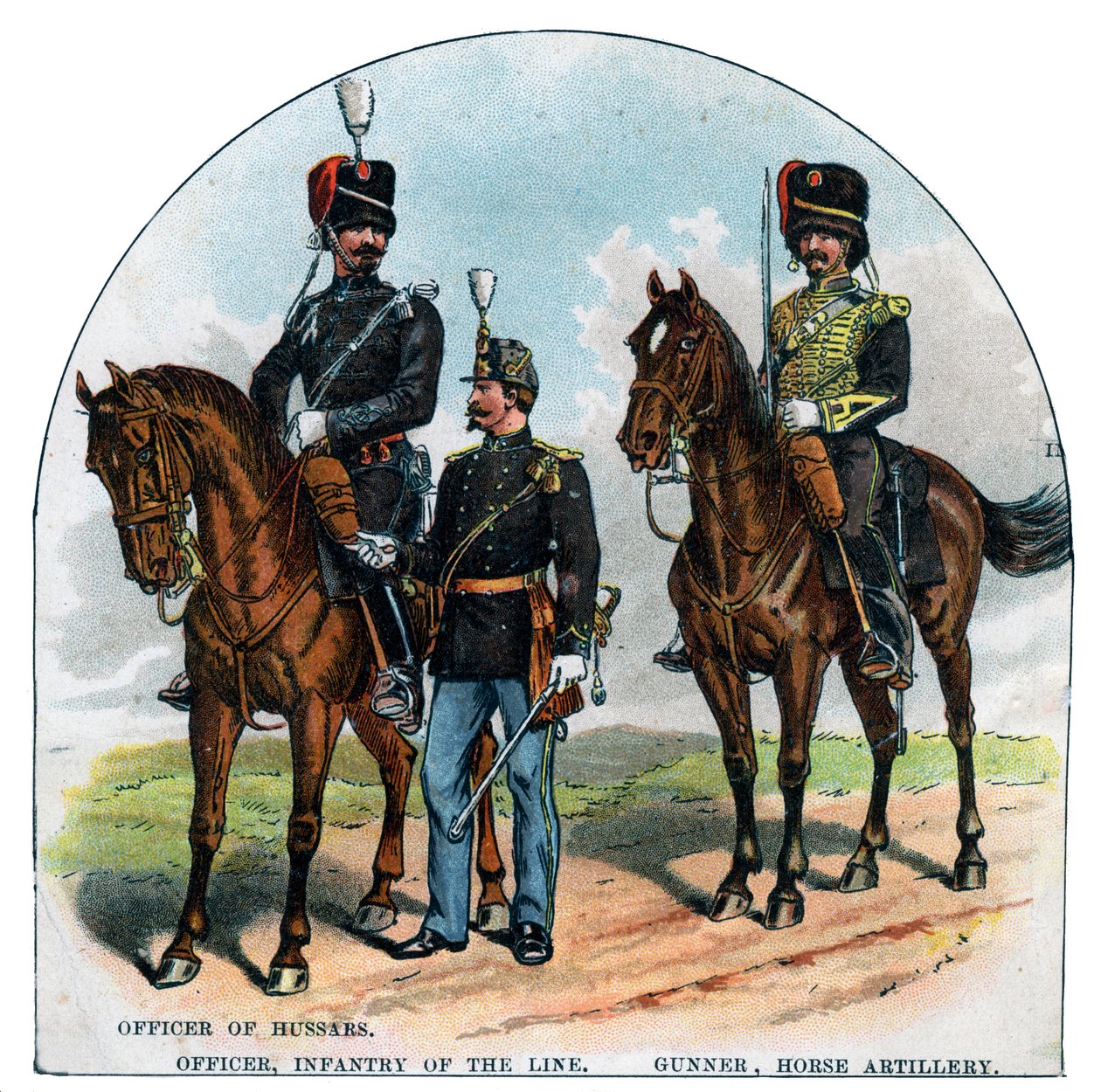Officer af husarer, officer, linieinfanteri, skytte, hesteartilleri, 1800-tallet af Unbekannt