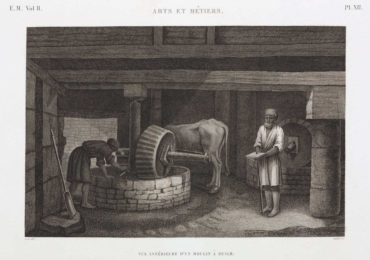 Olier, fedtstoffer og voks Oliemølle, Egypten, ca 1798 af Unbekannt