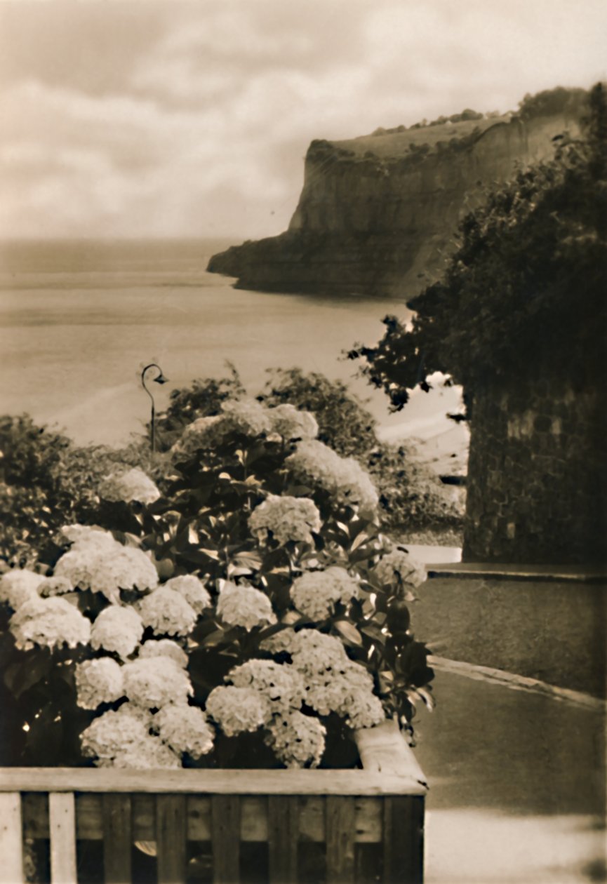 Old Shanklin Head, I.W., c1920. af Unbekannt