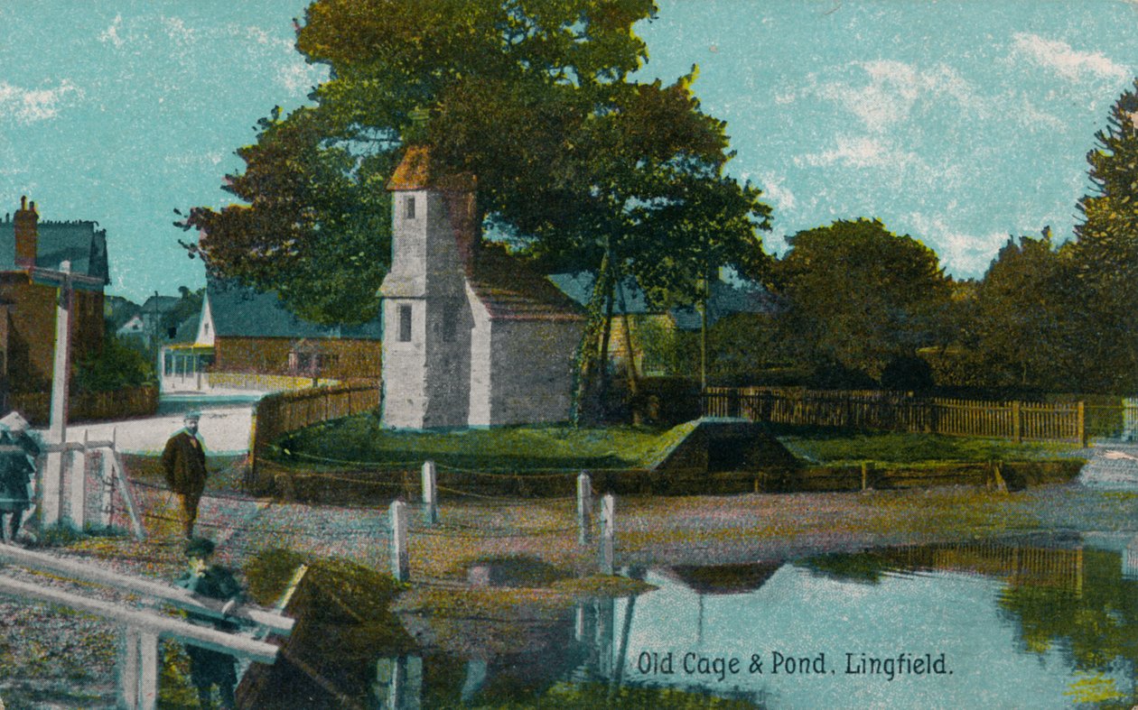 Gammelt bur og dam, Lingfield, Surrey, c1905 af Unbekannt