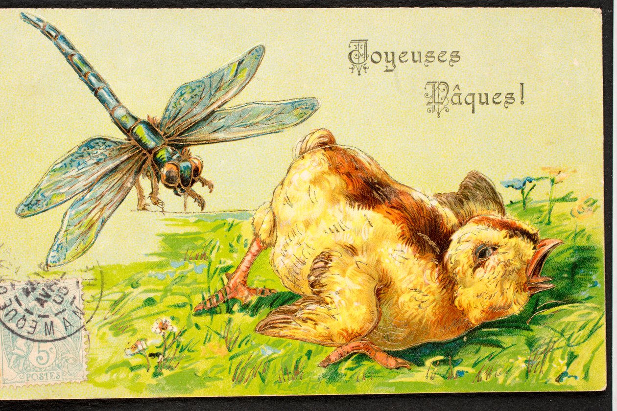 Gammelt postkort/god påske/Kylling/Dragonfly af Unbekannt