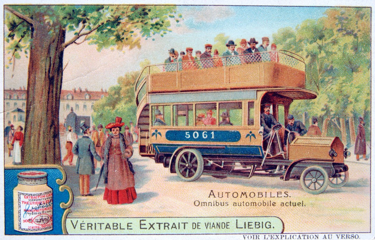 Buffy, c1900 af Unbekannt