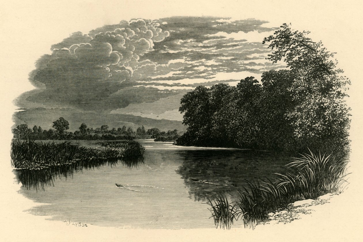 På Avon. Strensham Reach, c1890. af Unbekannt