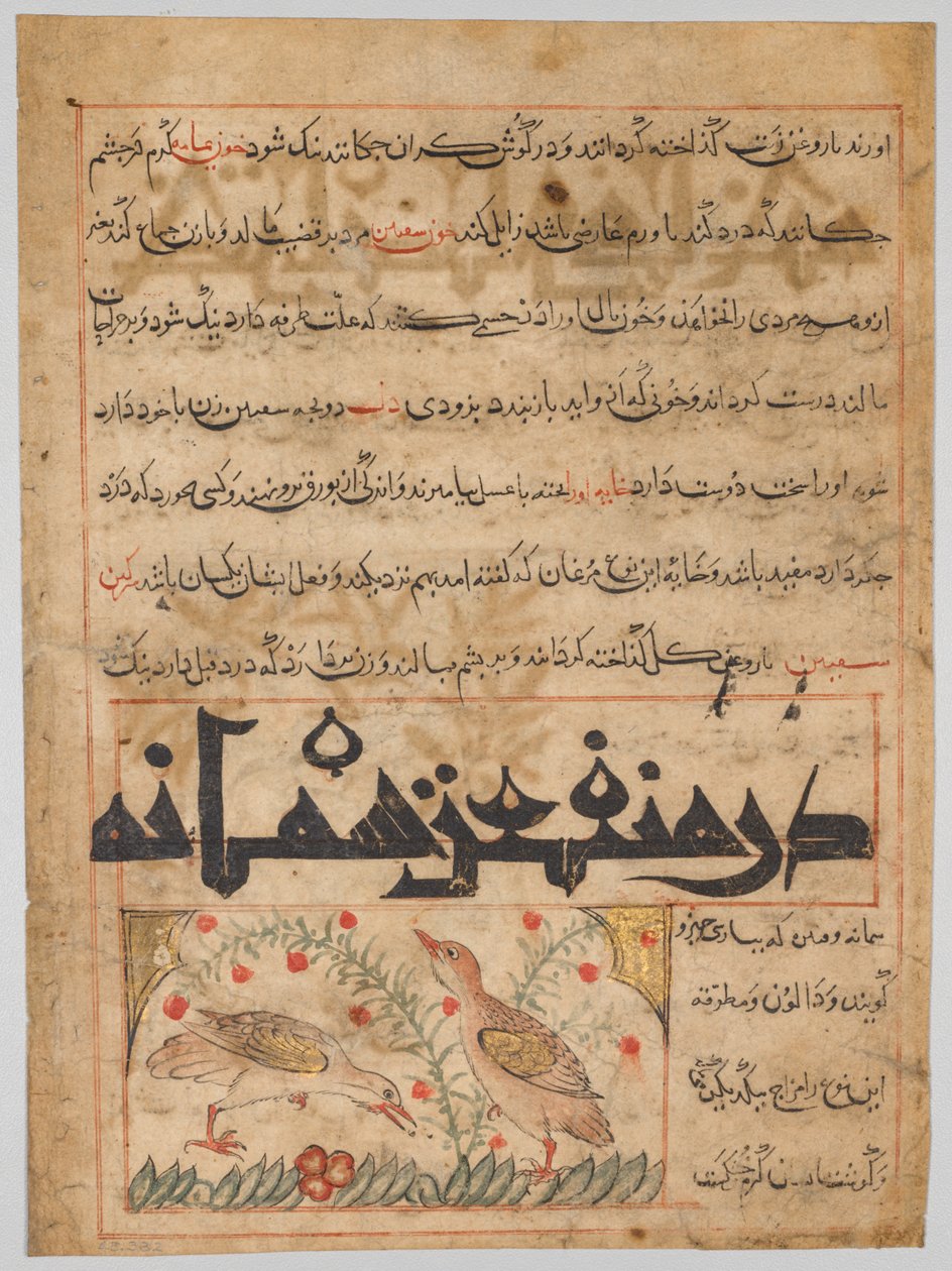 Om fordelene ved vagtler verso fra en Manafi al-Hayawan..., ca. 1300. af Unbekannt