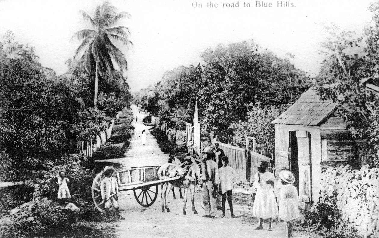 På vejen til Blue Hills, Bahamas, omkring 1900-tallet af Unbekannt