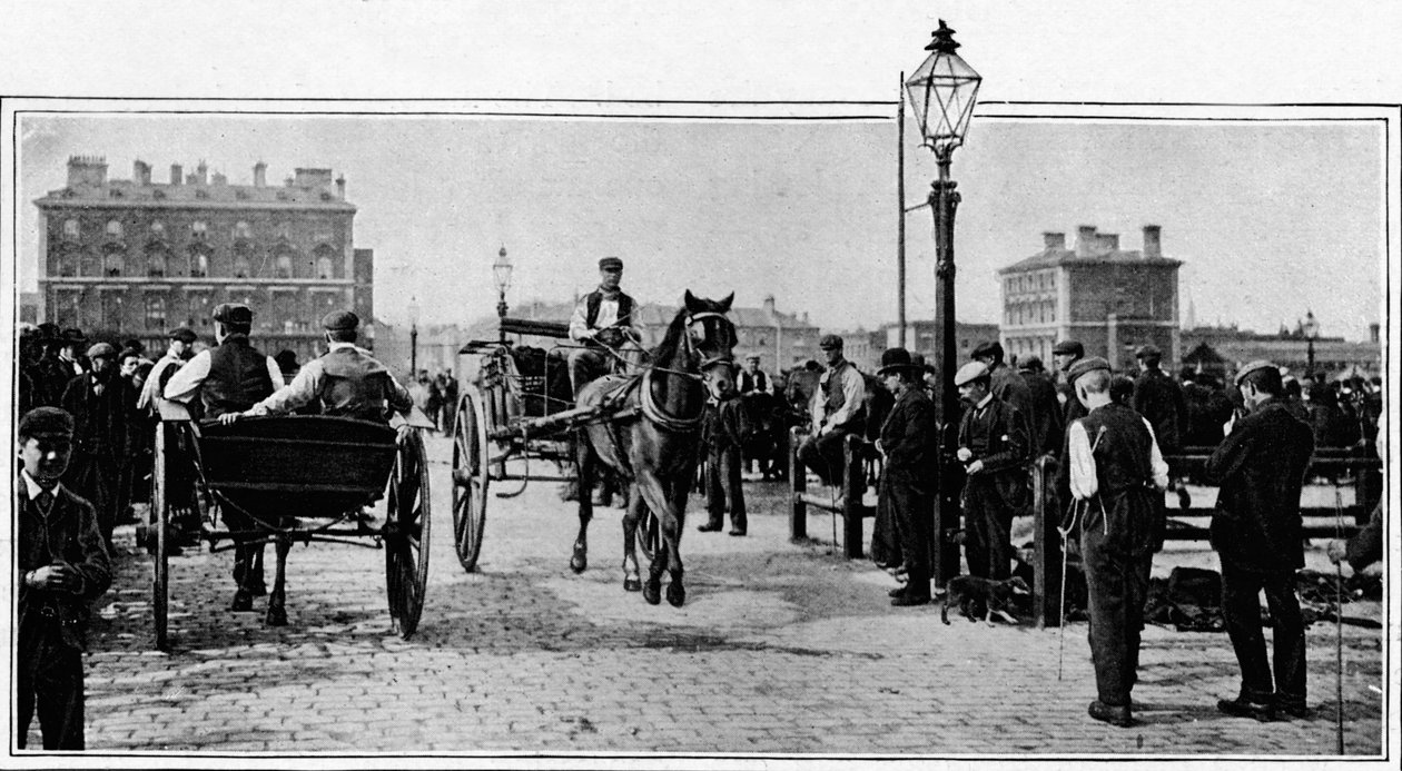På stenene, Islington Cattle Market, London, c1902 1903 af Unbekannt