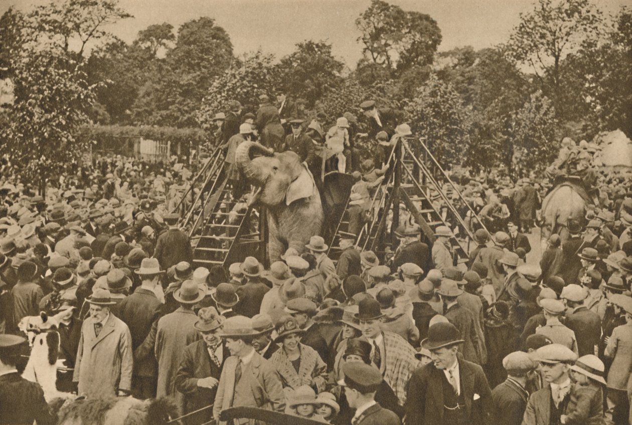 Et af tegnene på vores civilisation: velassorterede zoologiske haver til at glæde de nysgerrige, c193 af Unbekannt