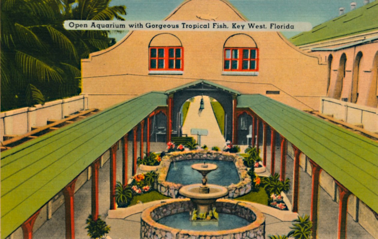 Åbent akvarium med smukke tropiske fisk, Key West, Florida, c1940