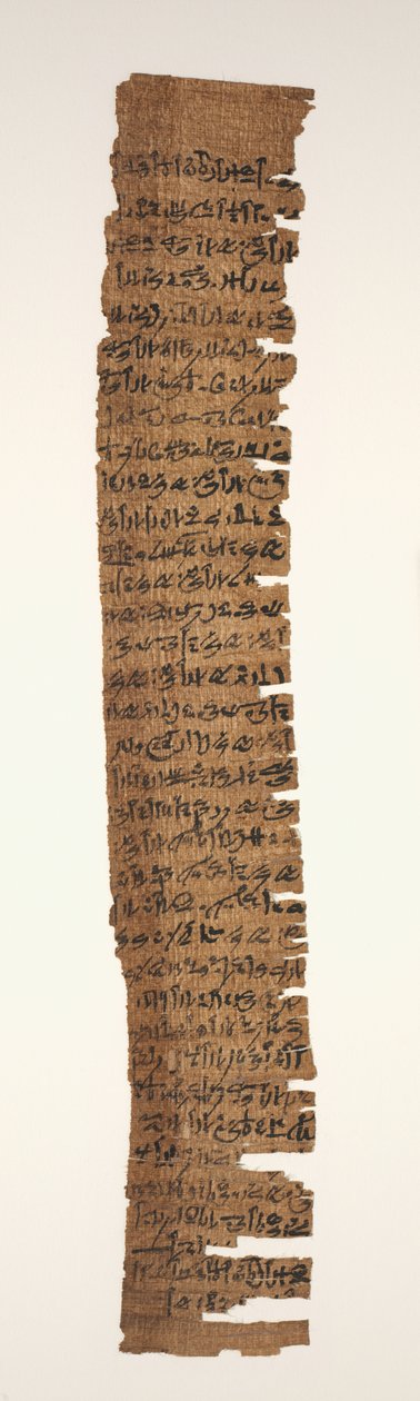 Orakulært amuletisk dekret, 1069-715 f.Kr. af Unbekannt