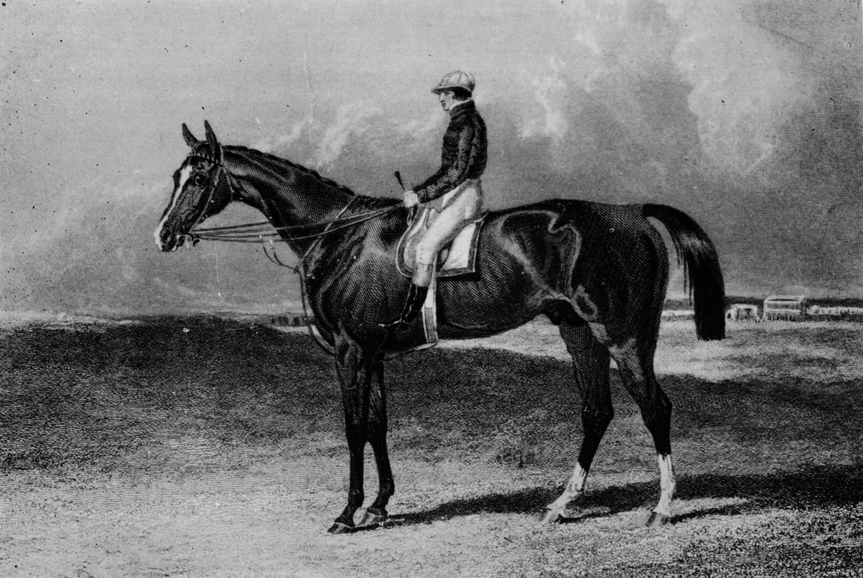 Orlando, c1841-1860, 1911 af Unbekannt