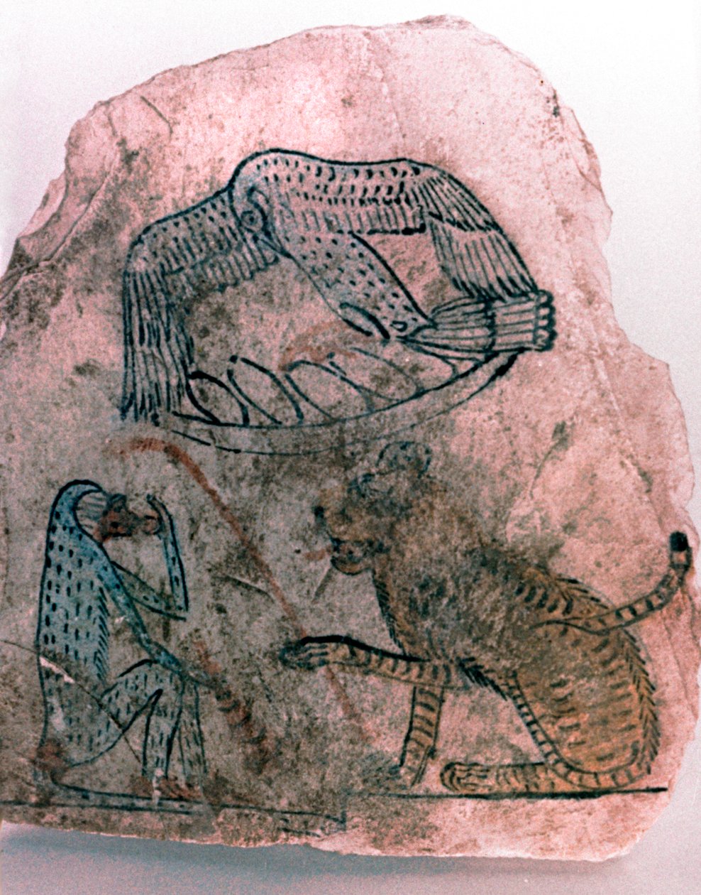 Ostracon Fragment, Gepard, Fugl og Abe, Egypten af Unbekannt