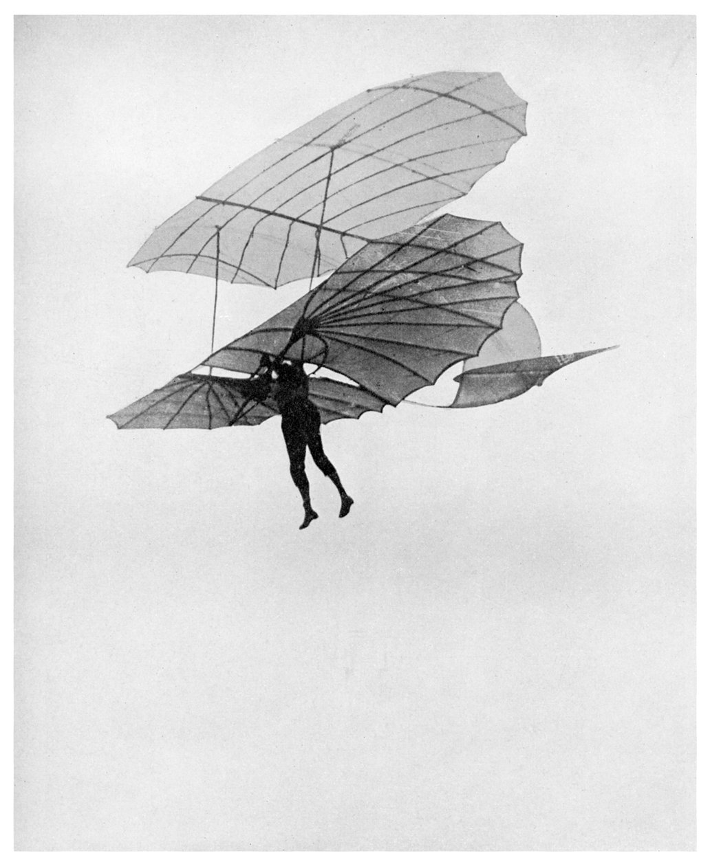 Otto Lilienthal foretager en af sine sidste flyvninger, 1896 1956 af Unbekannt