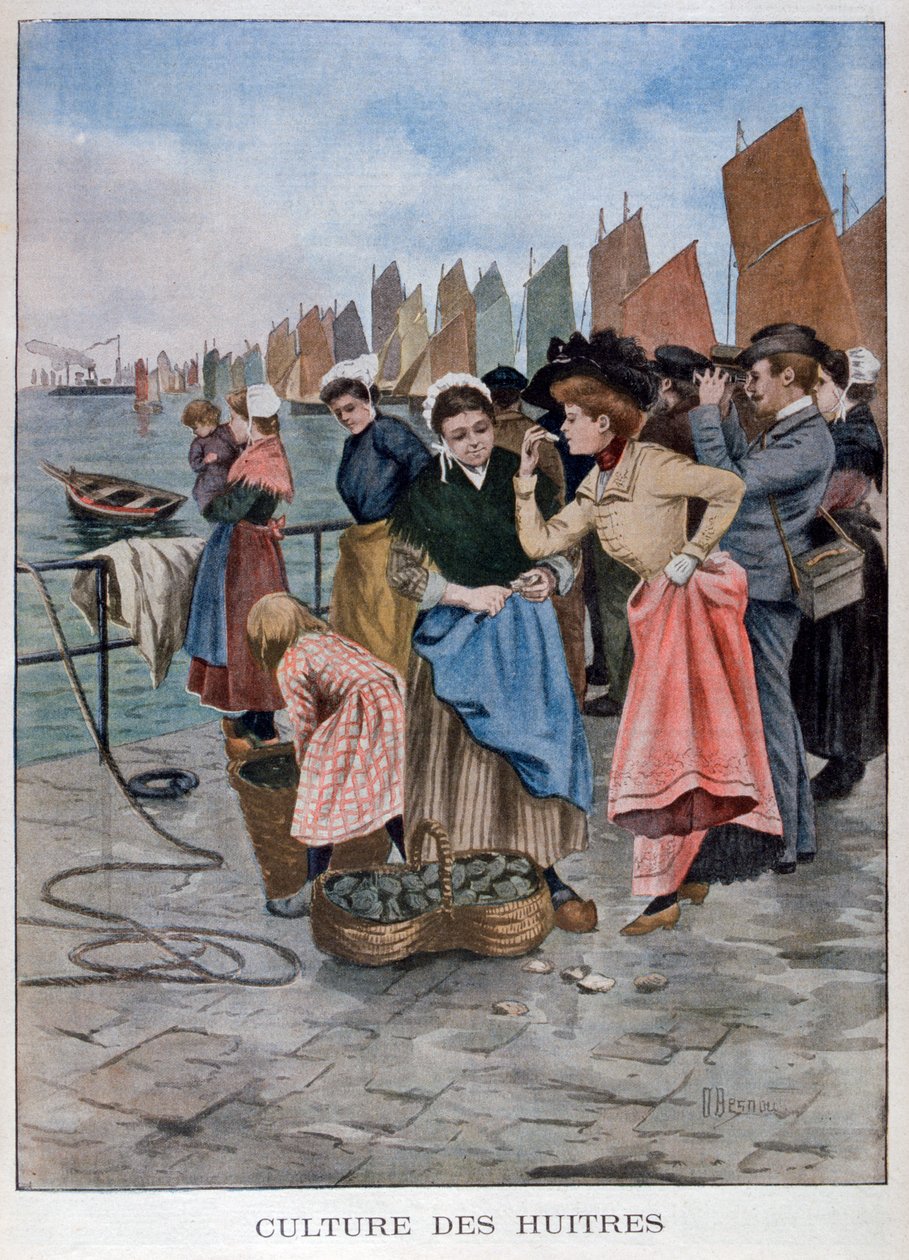 Østerssælger, 1902 af Unbekannt