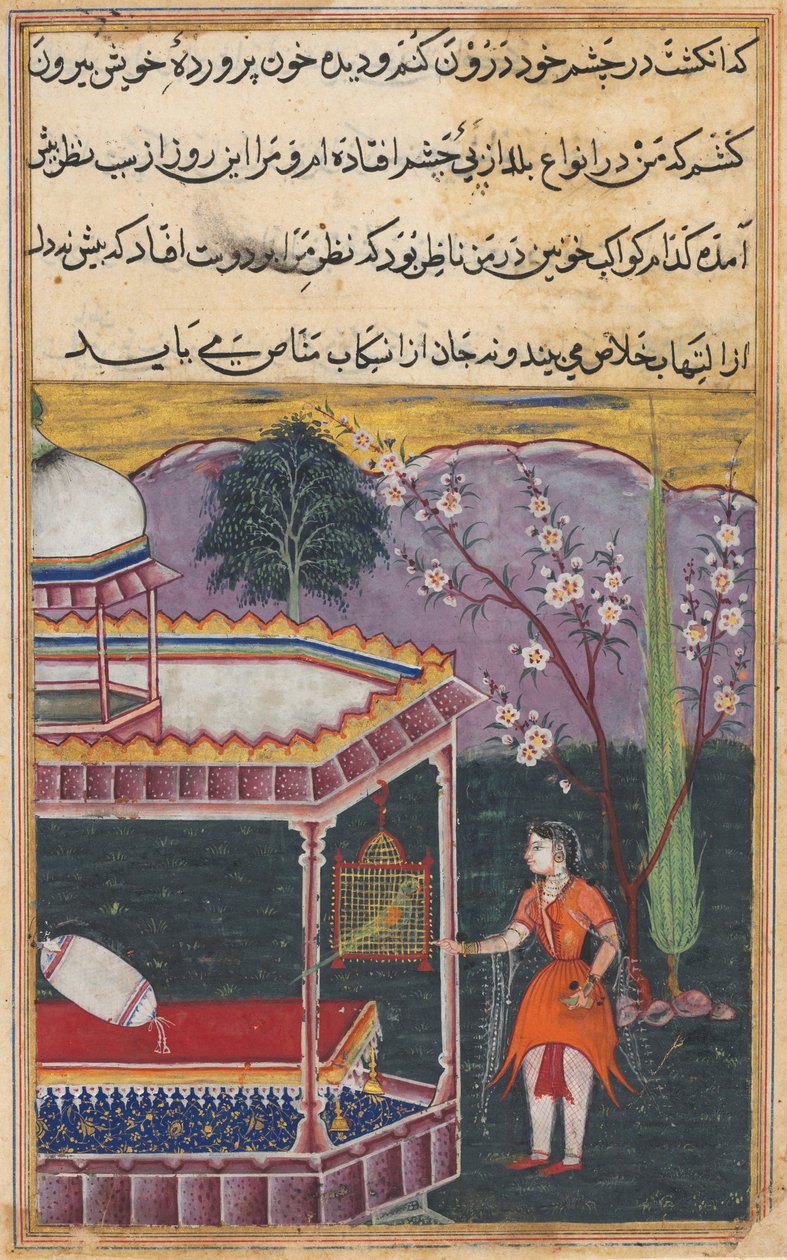 Side fra Tales of a Parrot Tuti-nama: Ottende nat: Papegøjen henvender sig til Khujasta..., 1558-1560. af Unbekannt