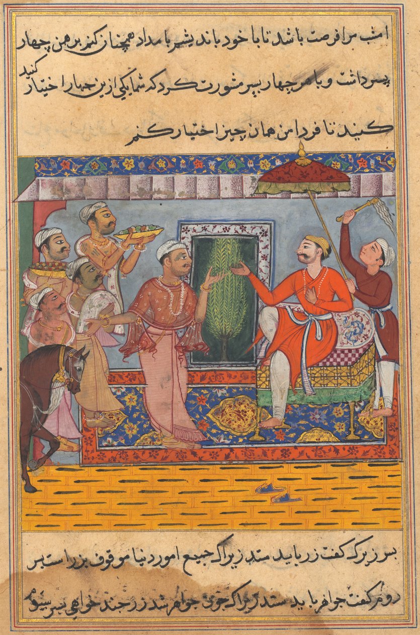 Side fra Tales of a Parrot Tuti-nama: Elvte nat: Brahmanen, ude af stand til at vælge..., ca. 1560. af Unbekannt