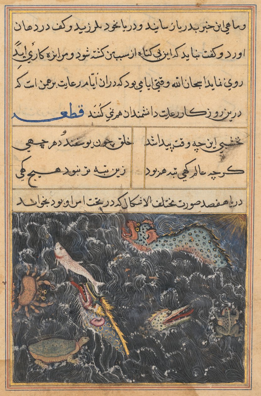 Side fra Tales of a Parrot Tuti-nama: Elvte nat: Havets skabninger, ca. 1560. af Unbekannt