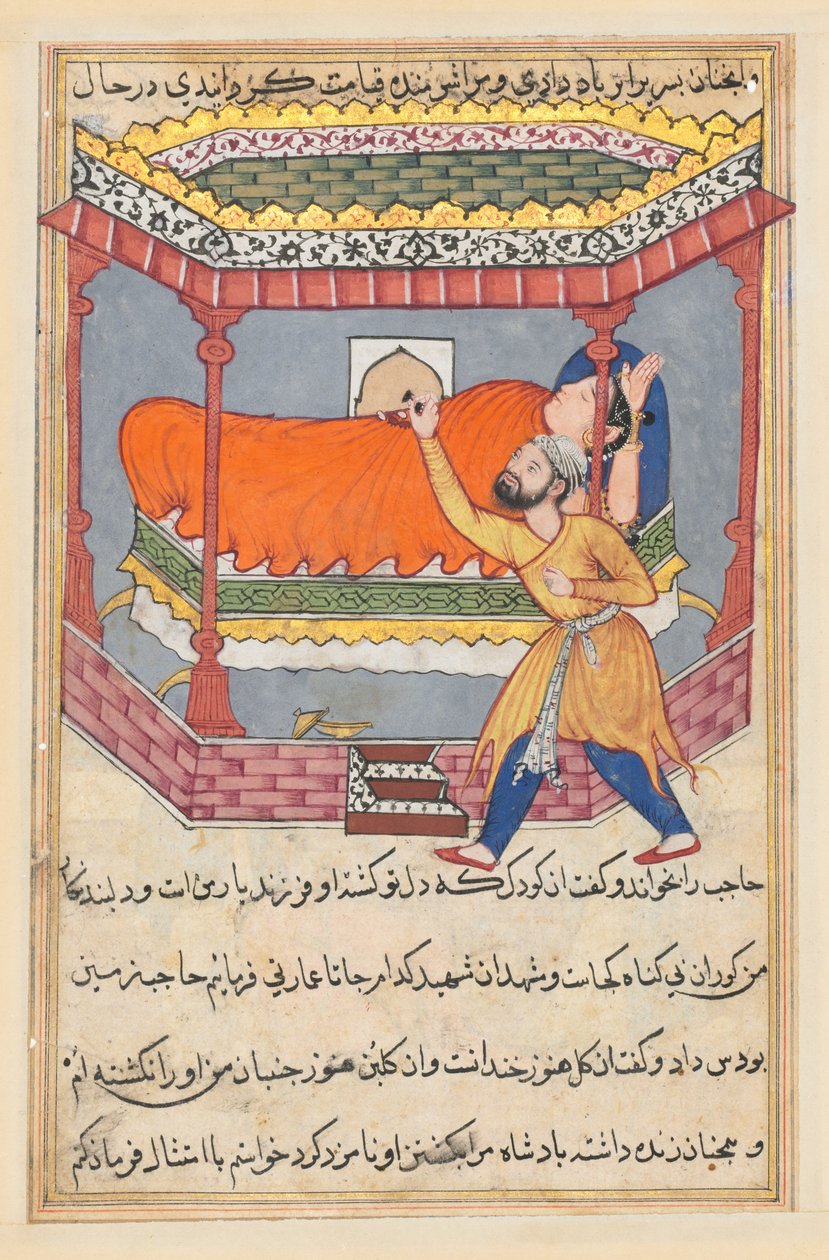 Side fra Tales of a Parrot Tuti-nama: Halvtredsindstyvende nat: Kongen placerer talismanen..., ca. 1560. af Unbekannt