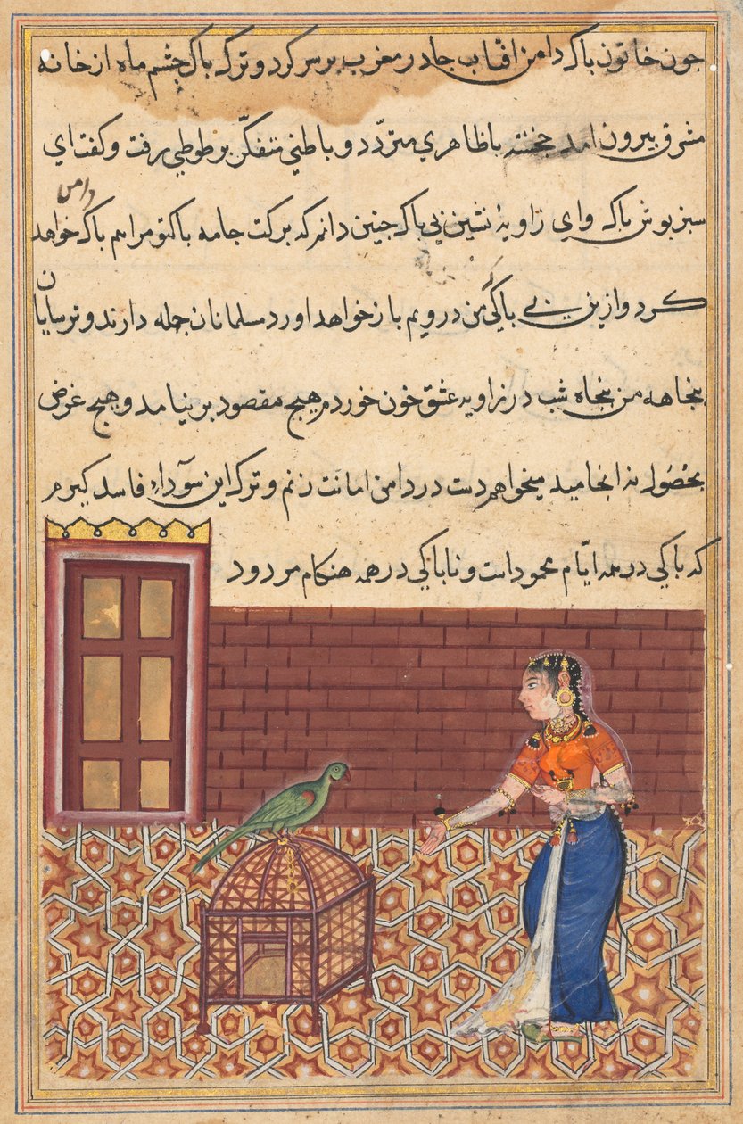 Side fra Tales of a Parrot Tuti-nama: Enoghalvtreds nat: Papegøjen henvender sig til Khujasta..., ca. 156 af Unbekannt