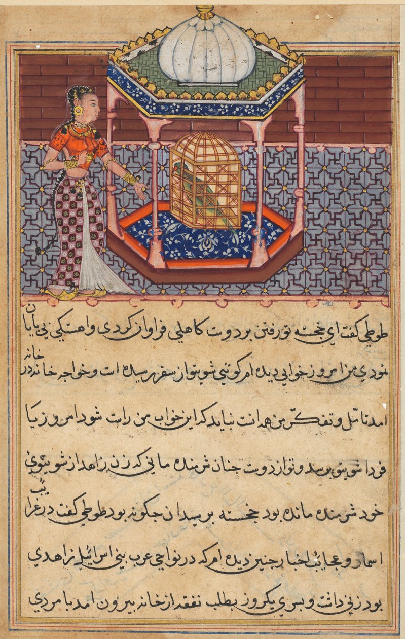 Side fra Tales of a Parrot Tuti-nama: Andenhalvtreds nat: Papegøjen henvender sig til Khujasta..., c1560 af Unbekannt