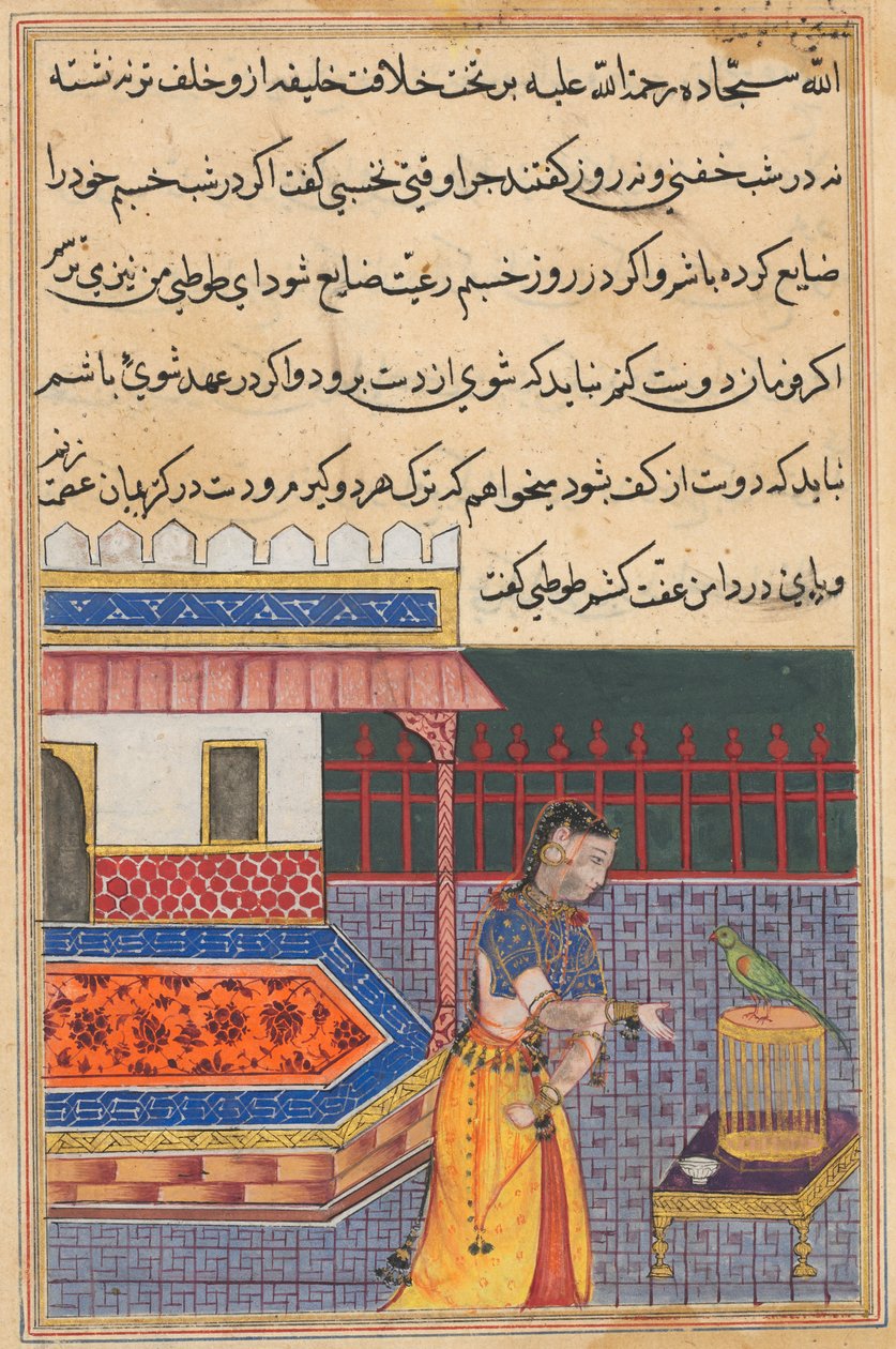 Side fra Tales of a Parrot Tuti-nama: Enogfyrre nat: Papegøjen henvender sig til Khujasta..., ca. 156 af Unbekannt