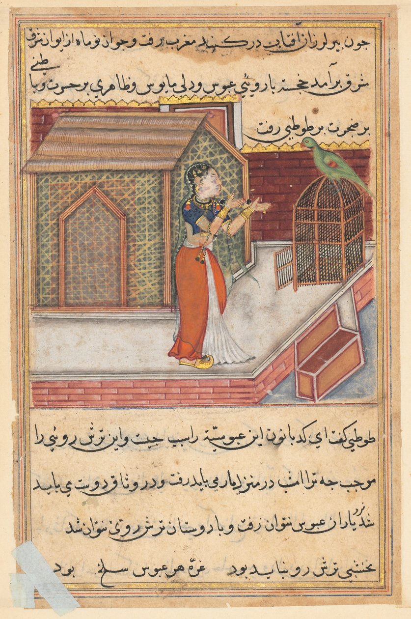 Side fra Tales of a Parrot Tuti-nama: Niogfyrre nat: Papegøjen henvender sig til Khujasta..., c1560. af Unbekannt