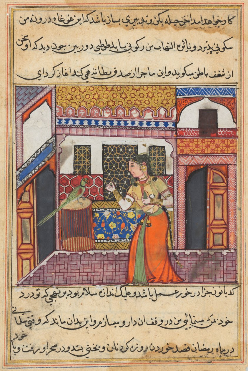 Side fra Tales of a Parrot Tuti-nama: Treogfyrre nat: Papegøjen henvender sig til Khujasta, ca. 1560. af Unbekannt