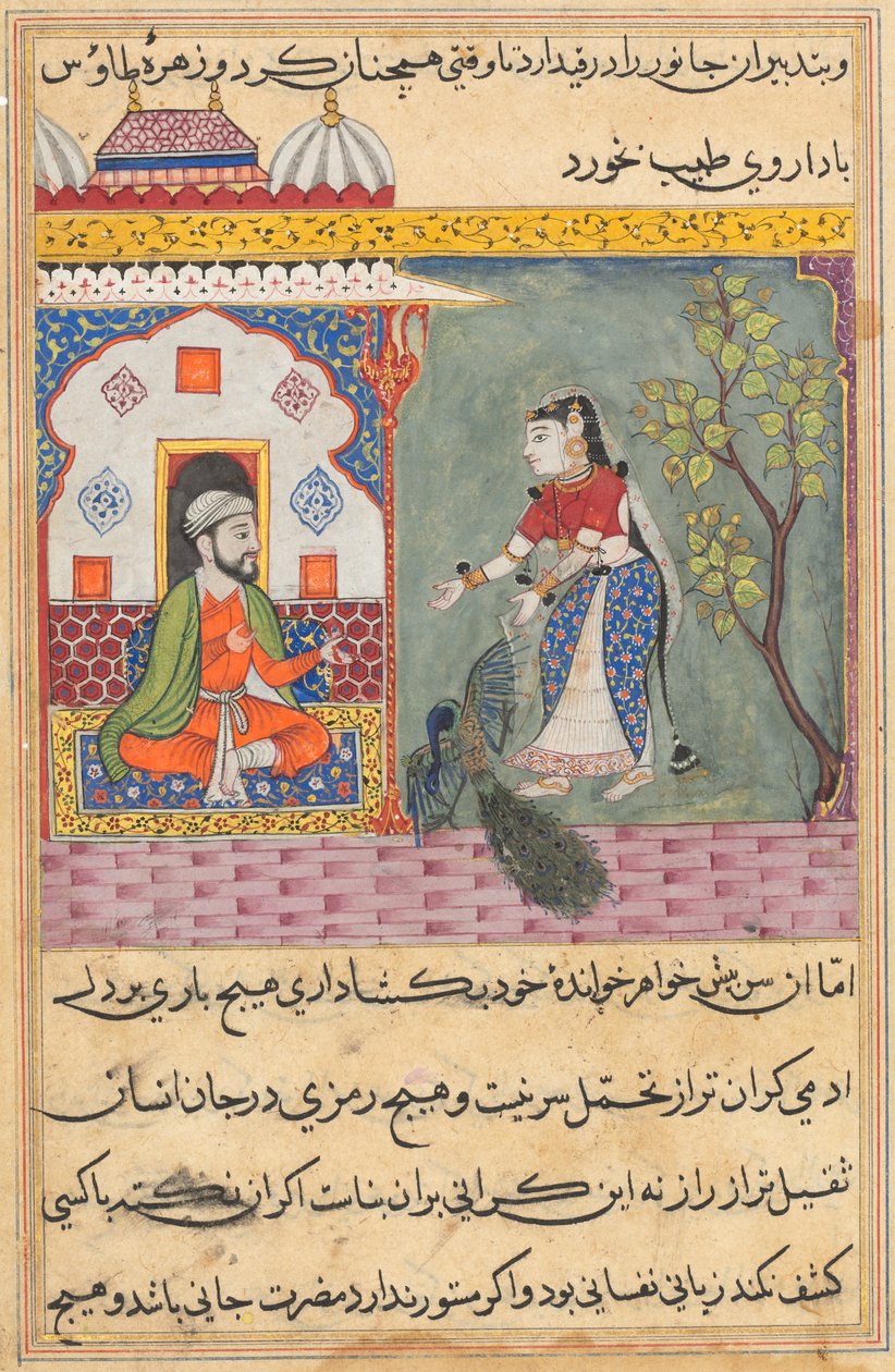 Side fra Fortællinger om en papegøje Tuti-nama: Nittende nat: Brahmans kone..., ca. 1560. af Unbekannt