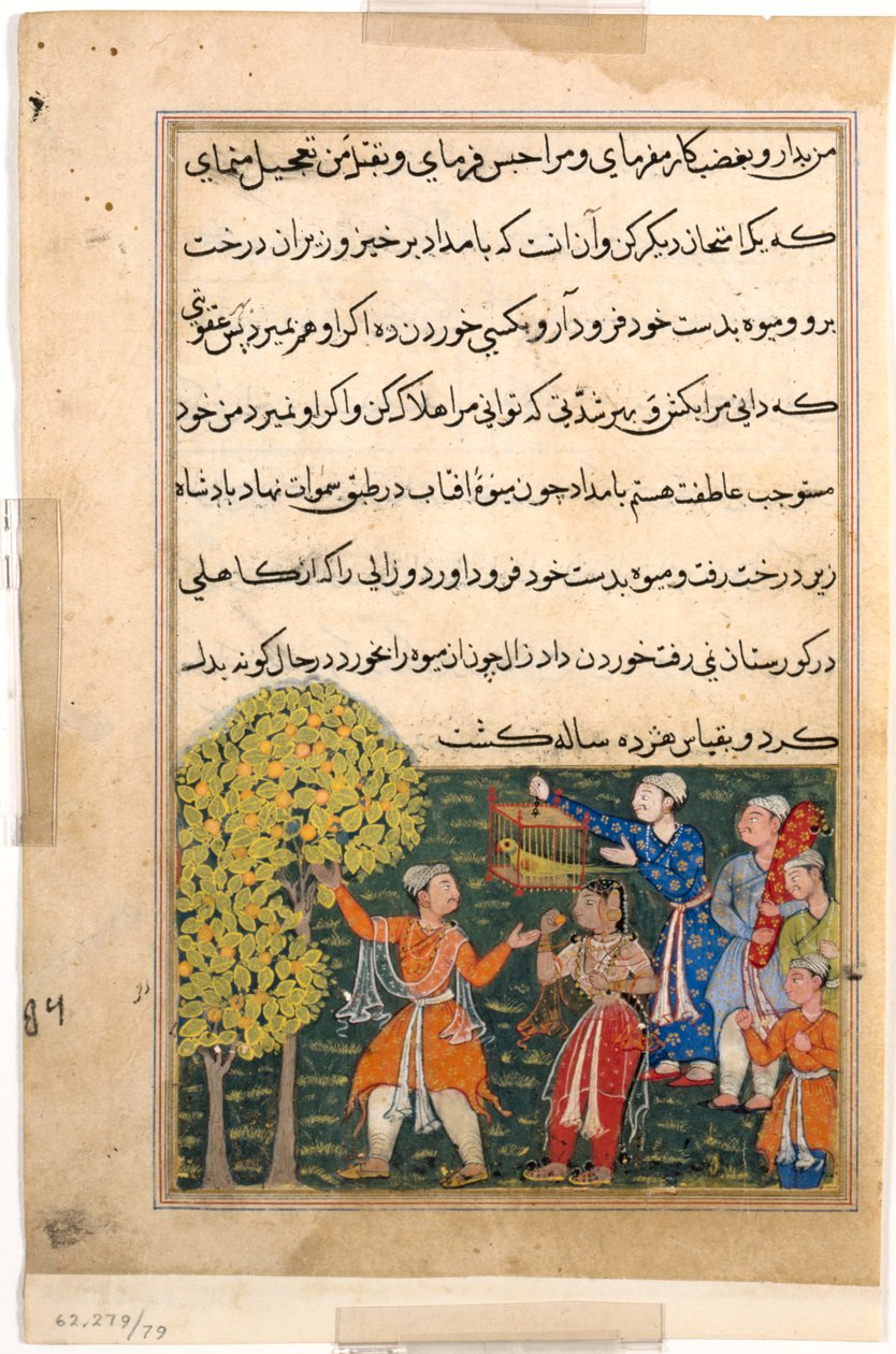 Side fra Tales of a Parrot Tuti-nama: Niende nat: Kongen plukker frugt fra træet..., ca. 156 af Unbekannt