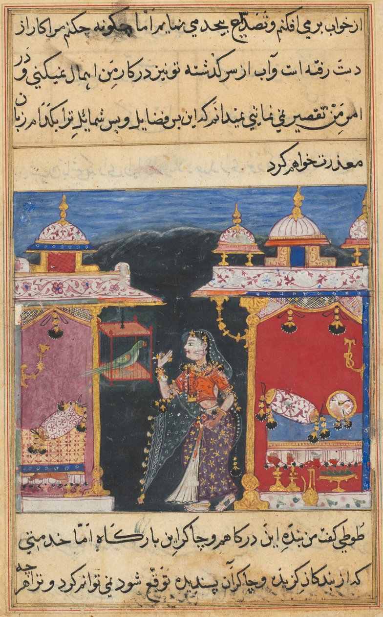 Side fra Tales of a Parrot Tuti-nama: Syvende nat: Papegøjen henvender sig til Khujasta..., ca. 1560. af Unbekannt