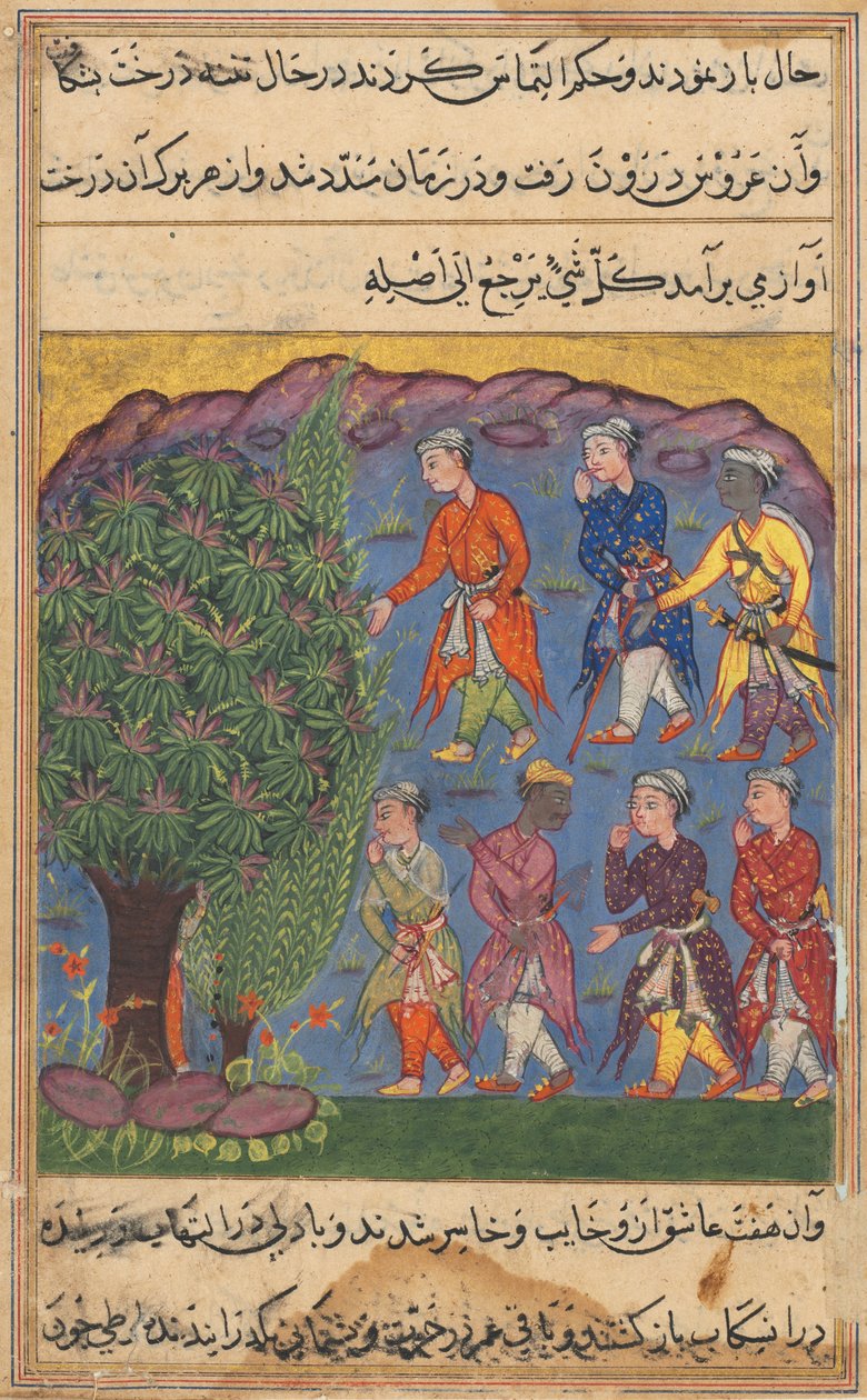 Side fra Tales of a Parrot Tuti-nama: Sjette nat: Syv mænd, der bestrider besiddelse..., ca. 1560. af Unbekannt