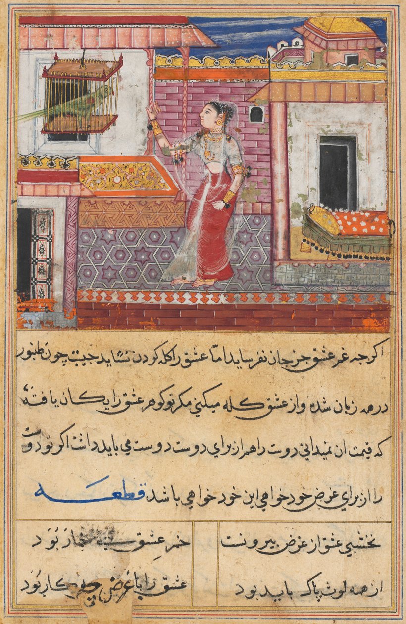 Side fra Tales of a Parrot Tuti-nama: Trettende nat: Papegøjen henvender sig til Khujasta..., ca. 1560 af Unbekannt
