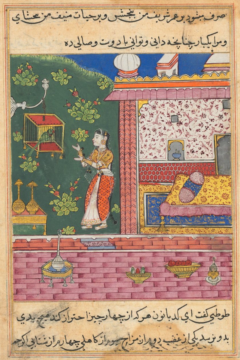 Side fra Tales of a Parrot Tuti-nama: Tredivte nat: Papegøjen henvender sig til Khujasta..., ca. 1560. af Unbekannt