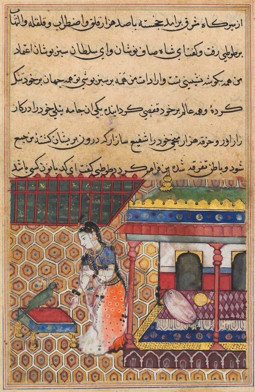 Side fra Tales of a Parrot Tuti-nama: Otteogtredive nat: Papegøjen henvender sig til Khujasta, c1560. af Unbekannt