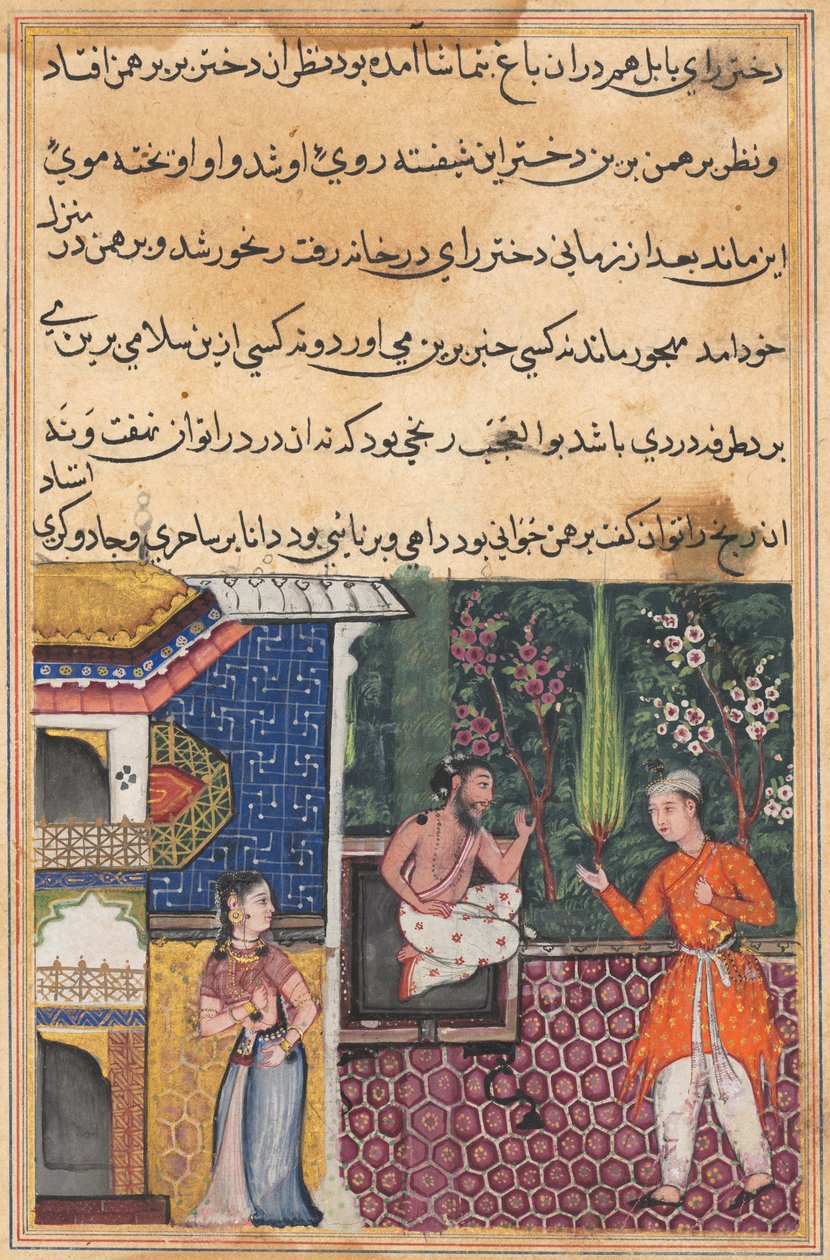 Side fra Tales of a Parrot Tuti-nama: Femogtredive nat: Brahmanen giver..., ca. 1560. af Unbekannt