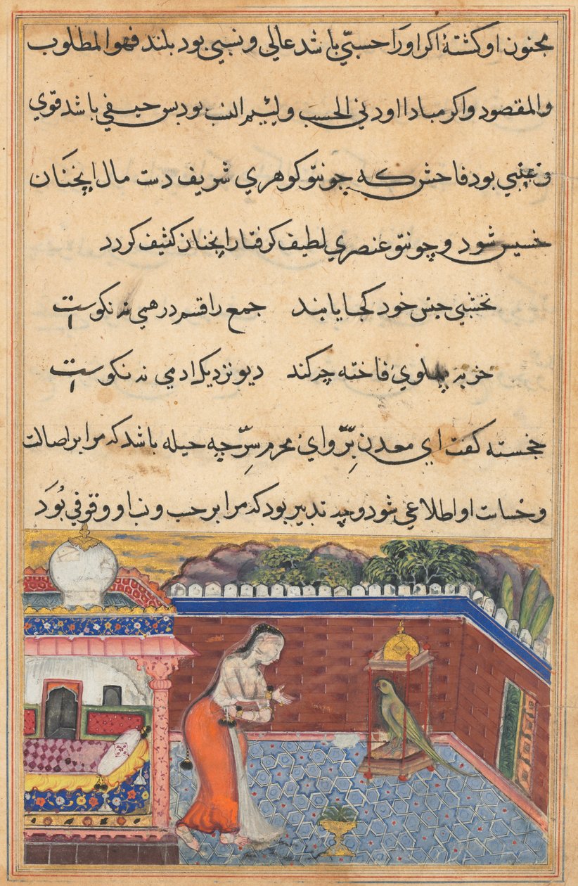 Side fra Tales of a Parrot Tuti-nama: Enogtredive nat: Papegøjen..., 1558-1560. af Unbekannt