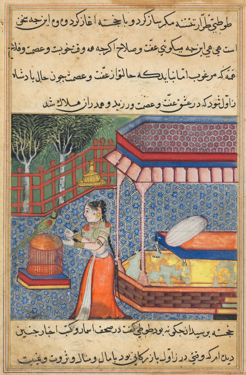 Side fra Tales of a Parrot Tuti-nama: Sjetteogtredive nat: Papegøjen henvender sig til Khujasta..., ca. 15 af Unbekannt