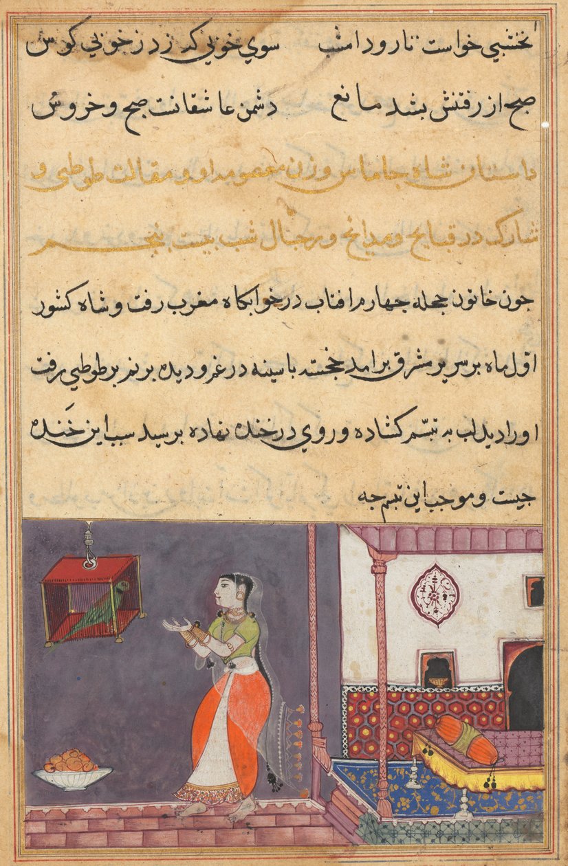 Side fra Tales of a Parrot Tuti-nama: Femogtyvende nat: Papegøjen henvender sig til Khujasta..., c1560 af Unbekannt