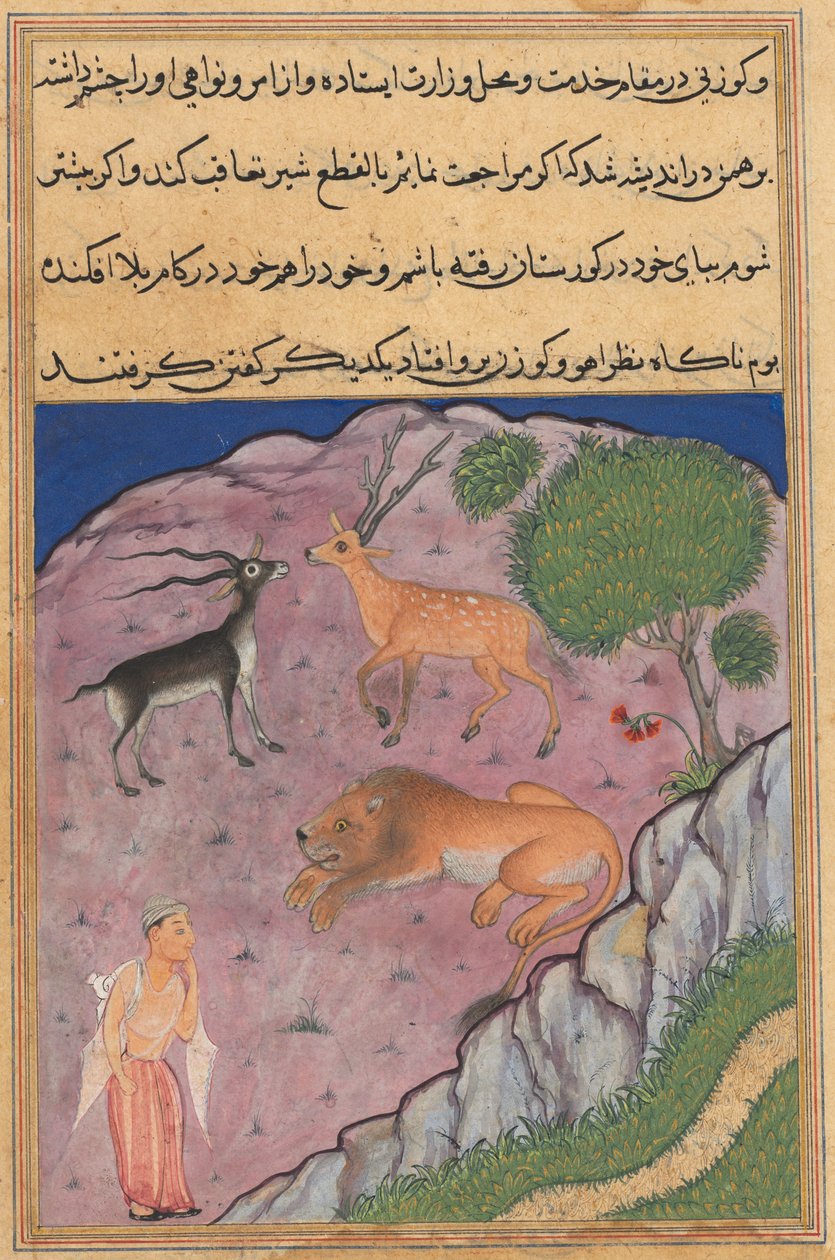 Side fra Tales of a Parrot Tuti-nama: Enogtyvende nat: The Brahman..., ca. 1560. af Unbekannt