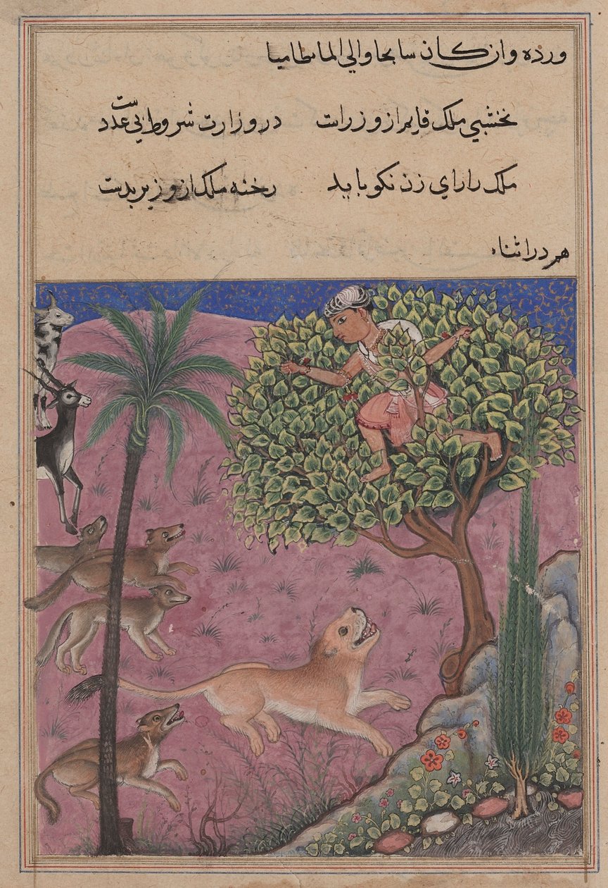 Side fra Tales of a Parrot Tuti-nama: Enogtyvende nat: Ulven og sjakalen..., ca. 1560. af Unbekannt